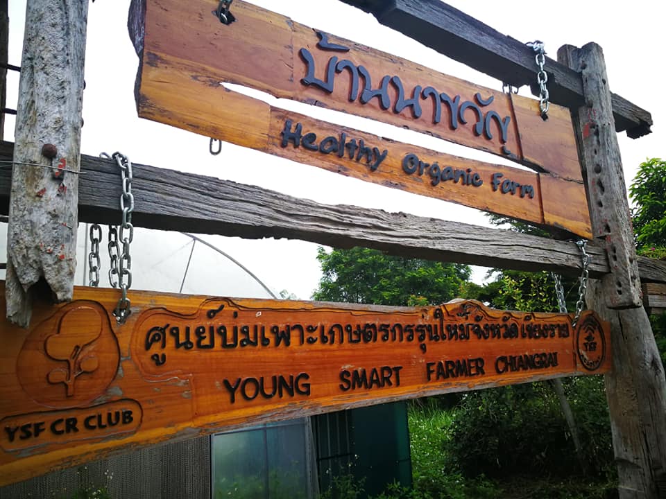 117112695 10214376016834012 4468736195172726568 n