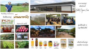 ยินดีต้อนรับสู่ bnk copy