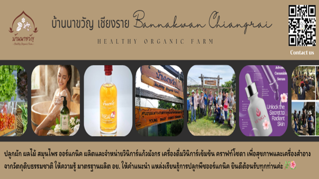 profile bannakwan chiangrai 1026 577