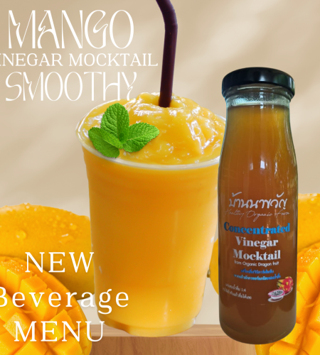 concentrate vinegar mocktail (3)