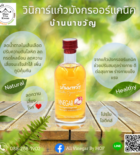 วินิการ์แก้วมังกรออร์แกนิค